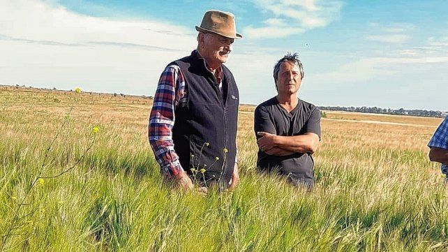 A CAMPO. Cerdá junto a Juan Kiehr celebran el aprendizaje desde abajo.