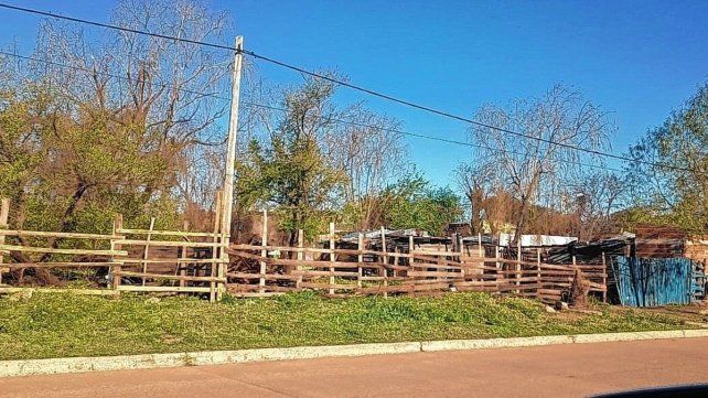 Desalojo en Concordia. Desalojo en Concordia.