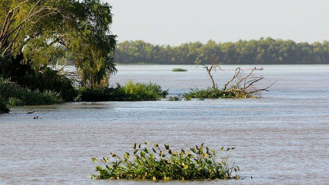 La crecida del Paraná llegará esta semana con picos frente a las costas entrerrianas La crecida del Paraná llegará esta semana con picos frente a las costas entrerrianas