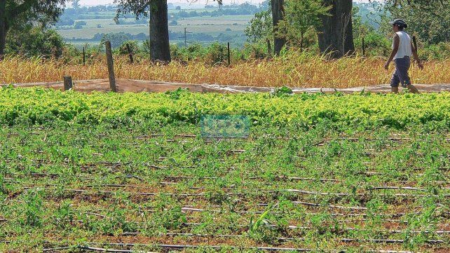 En la provincia est&aacute;n registrados unos 4.000 agricultores que se dedican a la agricultura familiar, modelo productivo clave para la alimentaci&oacute;n saludable