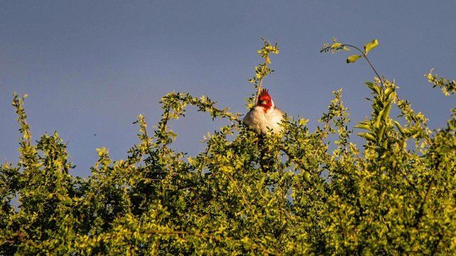 Las áreas naturales protegidas son 26 en la provincia.