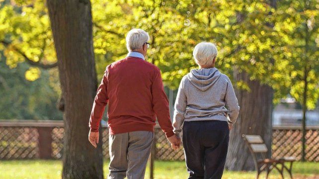 Adultos mayores tienen derecho a una vida en plenitud Adultos mayores tienen derecho a una vida en plenitud