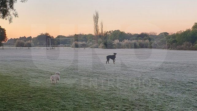 La ola polar se afianzó sobre la zona central del país y gran parte del norte, con heladas generalizadas. En imágenes, el frío en zona Acceso Norte
