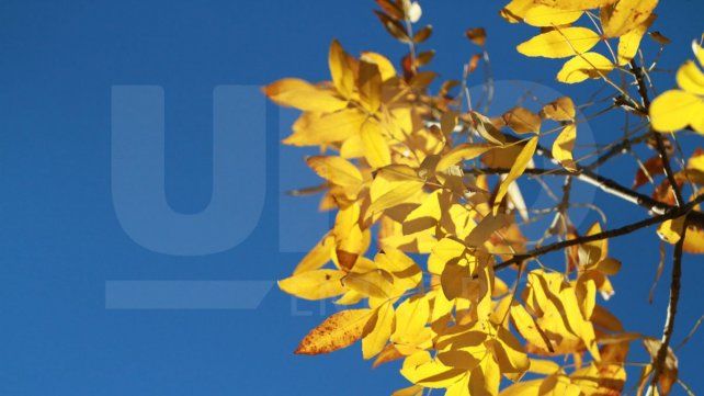 Entre Ríos: el otoño se despide con mucho frío sin anuncio de lluvias Entre Ríos: el otoño se despide con mucho frío sin anuncio de lluvias