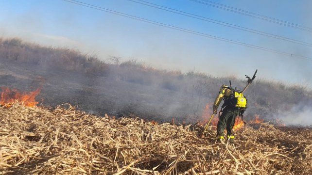 El fuego en las islas del Delta vuelven a ser noticia.