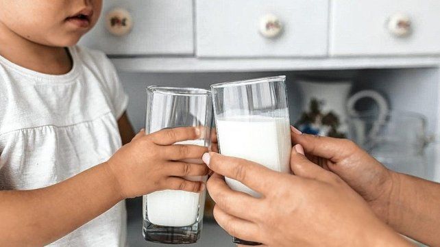 La leche es un alimento muy nutritivo