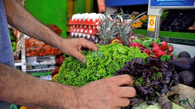 Preocupa a productores que la verduras de hoja no se pueda vender.