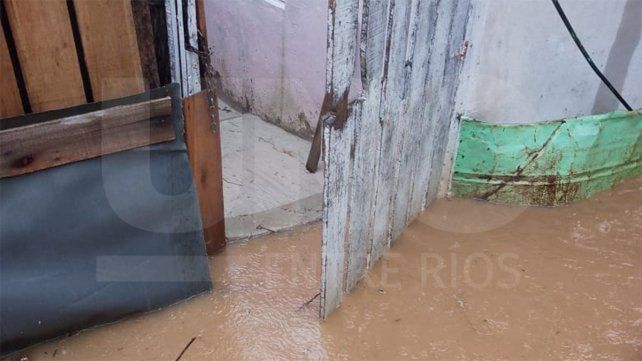 En Concordia se desbordó un arroyo y hay casas inundadas En Concordia se desbordó un arroyo y hay casas inundadas