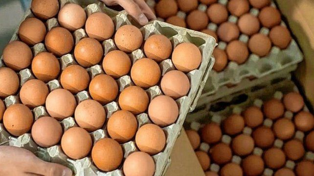 Creció el consumo de huevos por sus beneficios nutricionales Creció el consumo de huevos por sus beneficios nutricionales