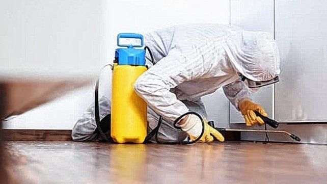 Fumigadores tiene mayor demanda en esta época para controlar las plagas Fumigadores tiene mayor demanda en esta época para controlar las plagas