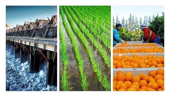 Diario UNO muestra el potencial de la región de Salto Grande.