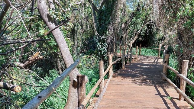 El proyecto turístico que contempla al Islote Curupí, área natural protegida, sufrió destrozos y el robo de materiales del sector de senderos.