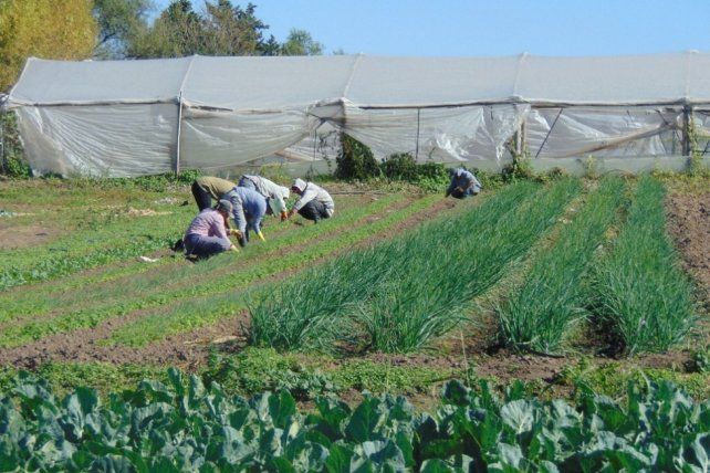 Cambios. La ordenanza actual rige desde 1993. Hay en análisis un nuevo marco en el Concejo Deliberante.