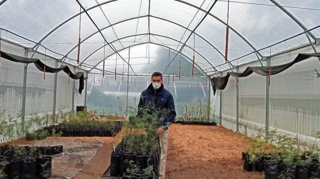 El vivero de la escuela Almafuerte es único de su tipo en la provincia. 