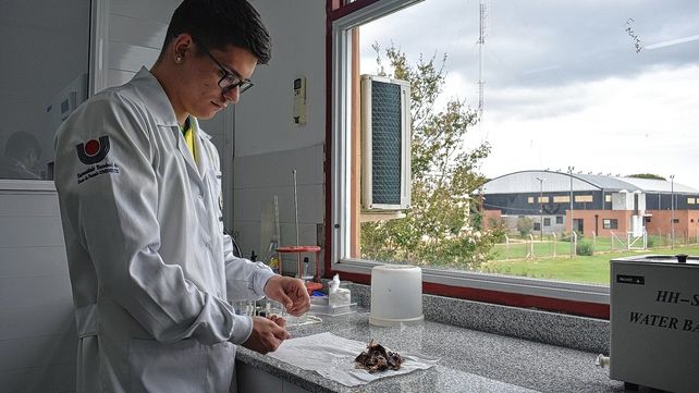 Pasante. Hadrien estudia Farmacia en la Universidade Estadual do Oeste do Paraná.