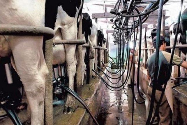 Circuito. La mayoría de los revendedores busca la leche en los tambos chicos y la ofrecen a su clientela.