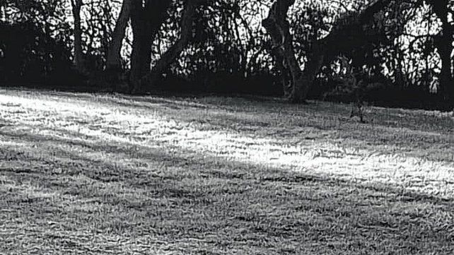 La helada se hizo sentir en la zona del paraje La Balsa de Villa Urquiza