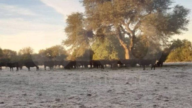 Este miércoles la temperatura mínima es-3: ¿Cuándo se termina la ola de frío? Este miércoles la temperatura mínima es-3: ¿Cuándo se termina la ola de frío?