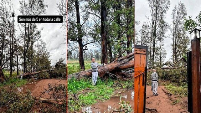 Ema Noir compartió en sus redes los efectos temporal en Concepción del Uruguay Ema Noir compartió en sus redes los efectos temporal en Concepción del Uruguay