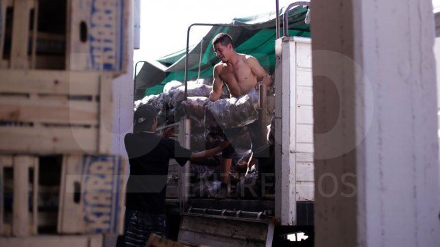 El precio de la papa en la mira y el auge de nuevas verdulerías por la falta de empleo El precio de la papa en la mira y el auge de nuevas verdulerías por la falta de empleo