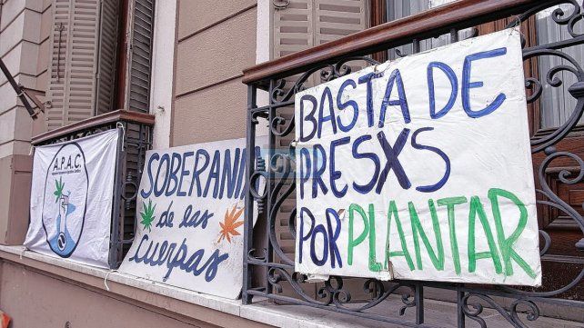 Las organizaciones impulsan una ley de acceso al cannabis en Entre Ríos.