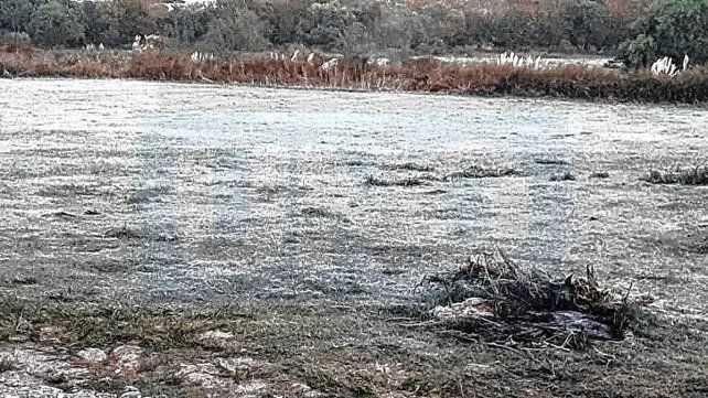 Frío polar en Entre Ríos: prevén heladas y temperaturas bajo cero