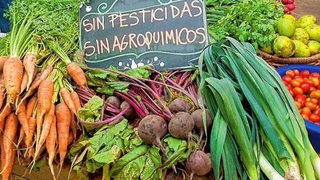 Alimentos orgánicos y agroecológicos tienen más demanda