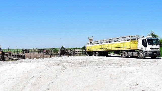 El tránsito de haciendo era una demanda de larga data del sector de la ganadería El tránsito de haciendo era una demanda de larga data del sector de la ganadería