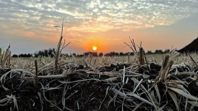 Especialistas de Paraná y de otras unidades de INTA del país buscan incrementar productividad y competitividad mediante un modelo sustentable