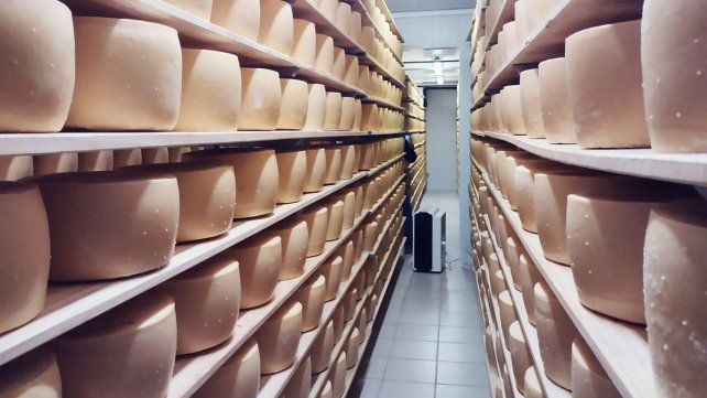 La Cumbre, de la familia Celio – Waller elabora, entre otros productos, quesos artesanales únicos como el Chester, el Cumbrier y el Yamandú. La Cumbre, de la familia Celio – Waller elabora, entre otros productos, quesos artesanales únicos como el Chester, el Cumbrier y el Yamandú.