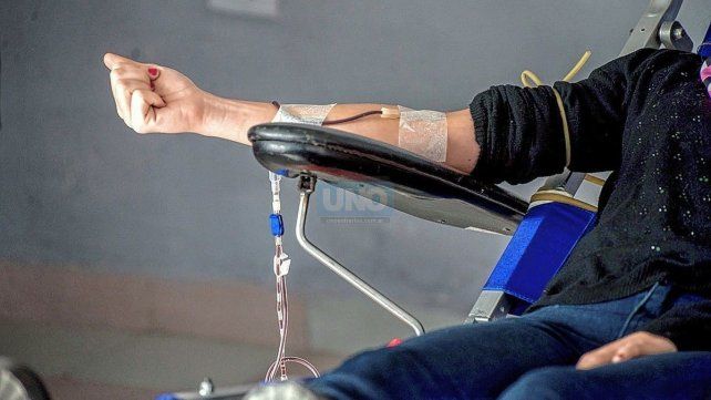 Entre Ríos: en 2024 más de 1.400 personas donaron sangre en colectas externas Entre Ríos: en 2024 más de 1.400 personas donaron sangre en colectas externas
