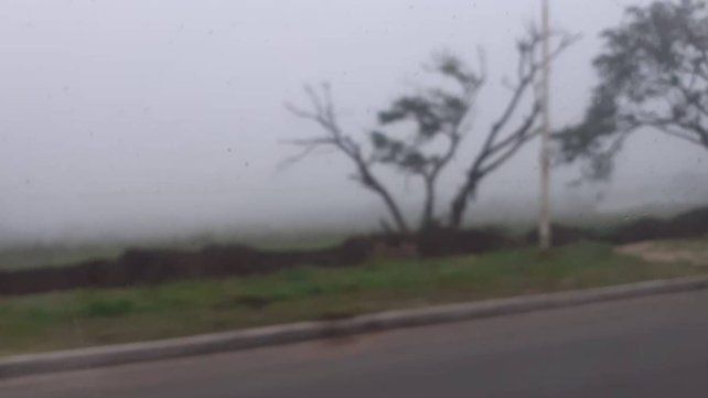 Un manto de niebla cubre gran parte de Entre Ríos Un manto de niebla cubre gran parte de Entre Ríos