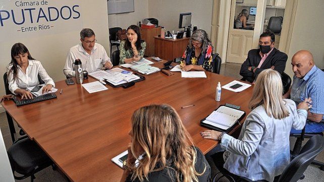 La Comisión de Salud Pública de Diputados trató este martes la Ley de Enfermería.