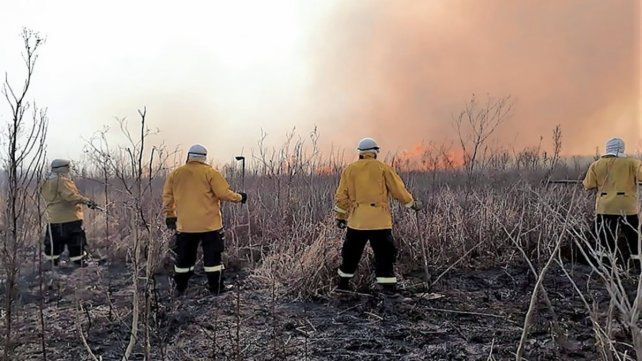 Incendios en el Delta: según pruebas serían intencionales