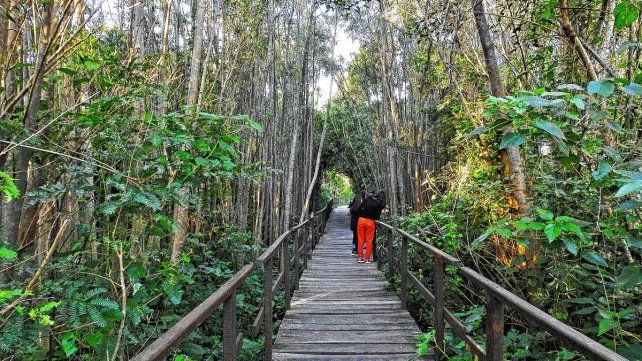 El Pre Delta recibe cientos de visitantes por semana.