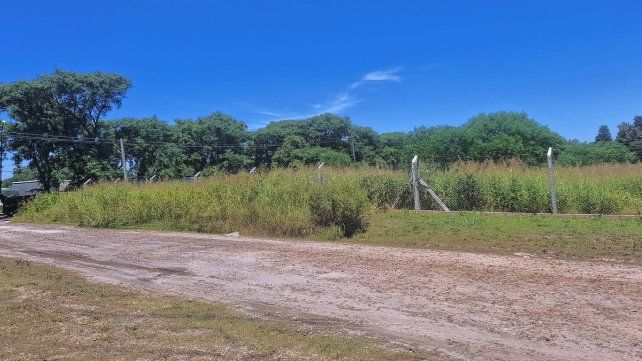 Vecinos piden el urgente desmalezado Vecinos piden el urgente desmalezado