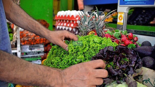 Preocupa a productores que la verduras de hoja no se pueda vender.
