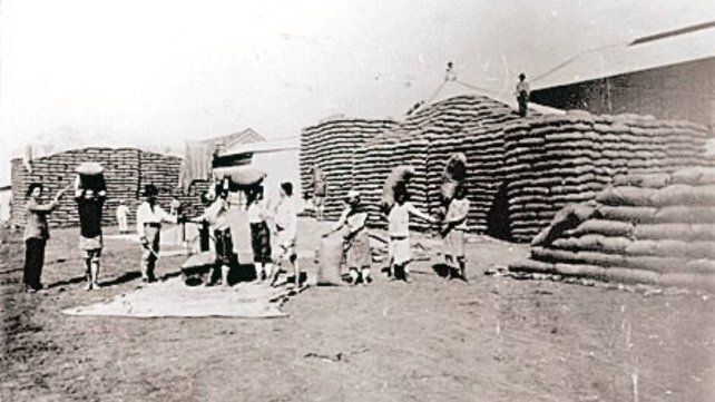 Lucienville, un pueblo ejemplo del cooperativismo argentino Lucienville, un pueblo ejemplo del cooperativismo argentino