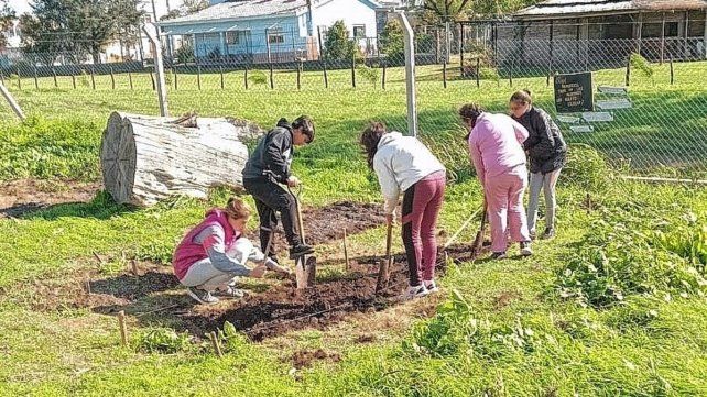 En la escuela Juan XXIII de Villa Fontana los alumnos trabajan en la huerta. En la escuela Juan XXIII de Villa Fontana los alumnos trabajan en la huerta.