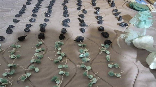 Allanamientos en Concordia: murió su madre, lo amenazaron y exigieron que siga ocultando la droga Allanamientos en Concordia: murió su madre, lo amenazaron y exigieron que siga ocultando la droga