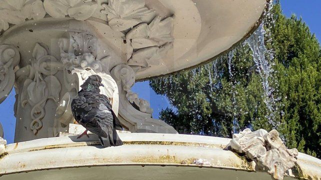 Entre Ríos: bajó la temperatura y este miércoles la máxima alcanzará los 26 grados Entre Ríos: bajó la temperatura y este miércoles la máxima alcanzará los 26 grados