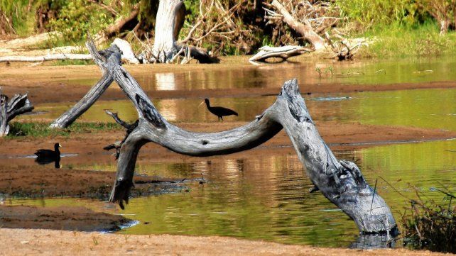 Parque Escolar Rural Enrique Berduc, un lugar que vale la pena visitar.