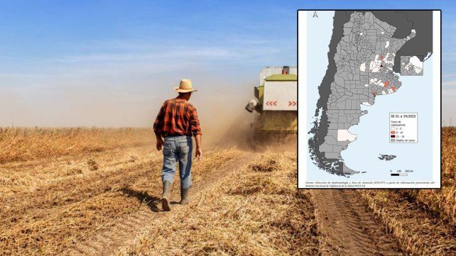 Entre Ríos concentra alrededor del 14% de los casos de leptospirosis del país. Entre Ríos concentra alrededor del 14% de los casos de leptospirosis del país.