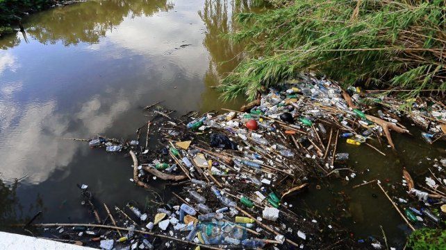 Los arroyos serán tema de debate en las Jornadas Los arroyos serán tema de debate en las Jornadas