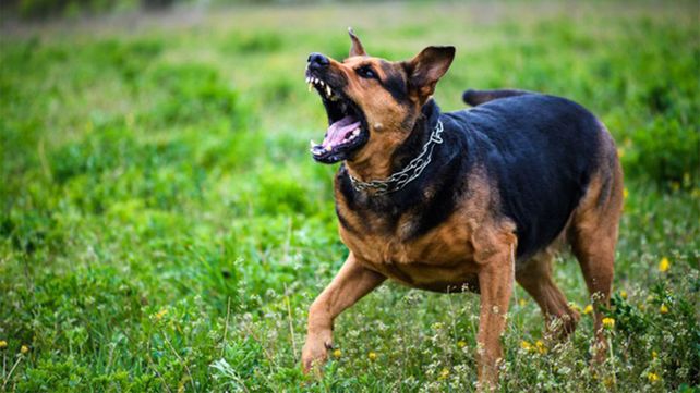 Foto ilustrativa. Foto ilustrativa.