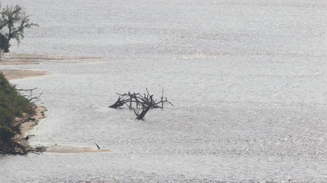 Las intensas y copiosas lluvias en la regi&oacute;n y gran parte de su cuenca ayudaron al r&iacute;o.