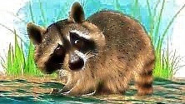 Distancia. El osito lavador, aguar&aacute; pop&eacute;, en trazos de Mart&iacute;n Bianchi. Concepci&oacute;n del Uruguay, el territorio para sentar la palabra