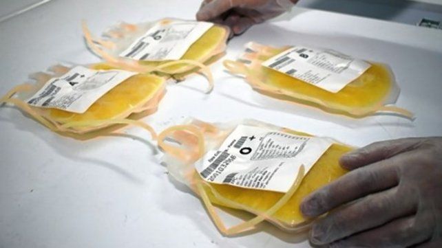 Entró en vigencia la Ley donación voluntaria de plasma sanguíneo