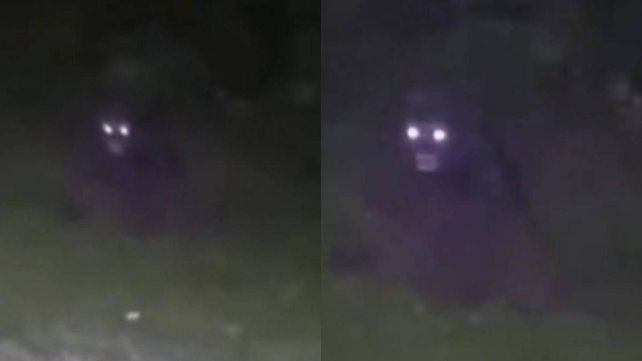 Villa Urquiza: figura negra con ojos brillantes fue captada en un campo Villa Urquiza: figura negra con ojos brillantes fue captada en un campo