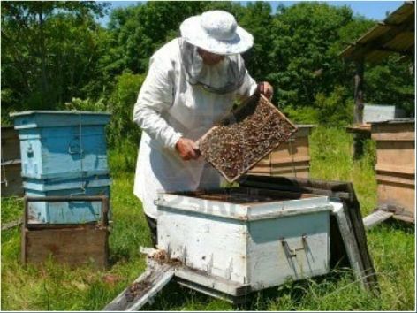Bordet firmó la ley muy esperada por el sector. 